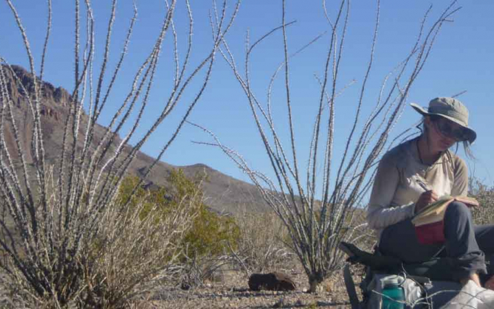 adults only outdoor adventure program